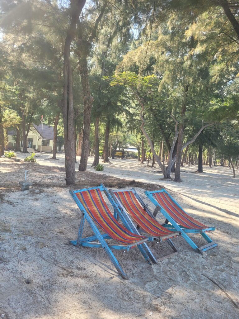 Beach Chair