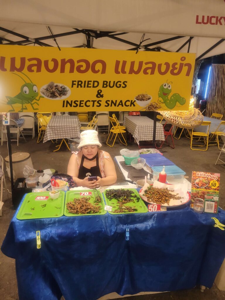 Insect Snack Stall