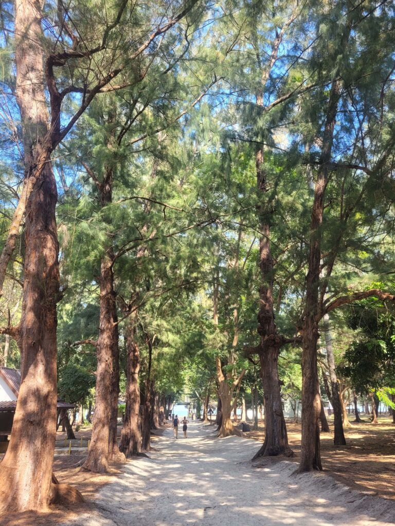 Path to Laem Sala Beach